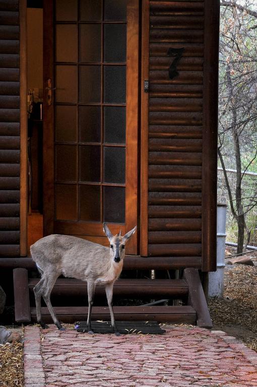 Bed and Breakfast Impa-Lala Country Estate Bloemfontein Exterior foto